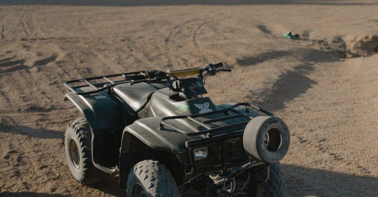 Read more about the article ATV til børn til dig med have